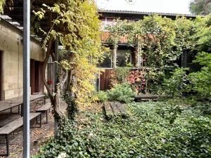 Bureaux-aux-Chartrons-à-louer-chez-Ma-pépite-agence-de-gestion-locative