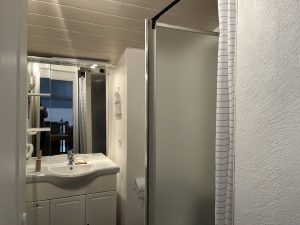 T1 Place Victoire meublé avec mezzanine à louer Ma Pépite salle eau