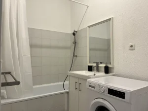a_louer_studio_meuble_lumineux_salle_de_bain